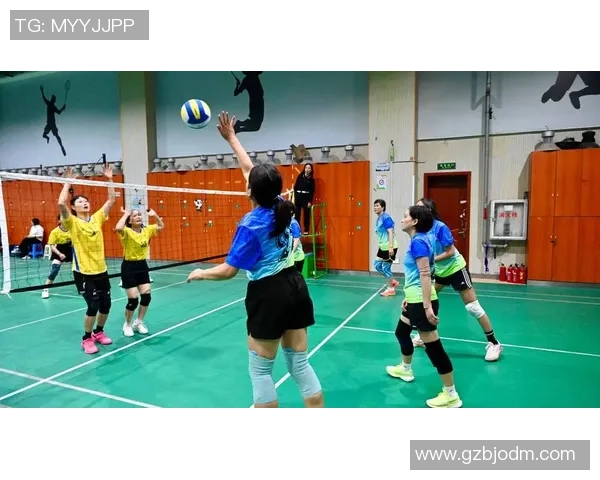 杨丽分享排球成功秘诀揭秘背后的努力与坚持