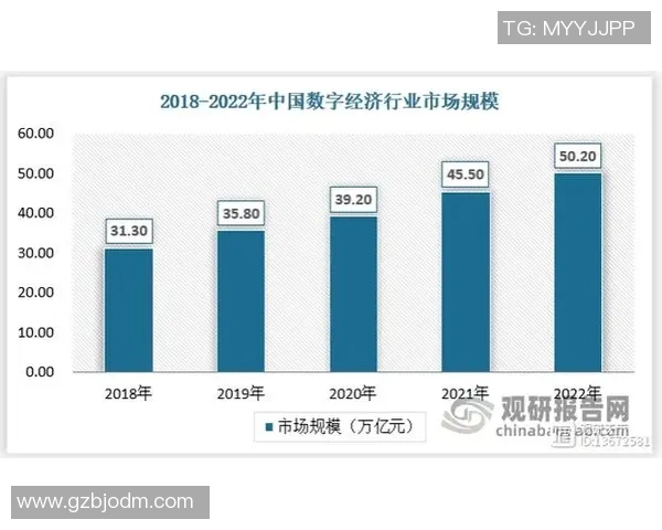 武汉篮球队的整体压制革新探索与未来发展路径分析
