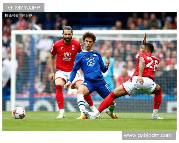 法国足球明星的辉煌历程与对世界足球的深远影响