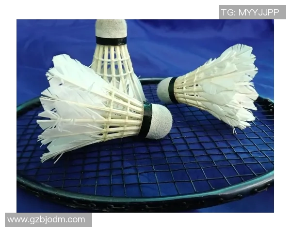 科学羽毛球训练方法探究与实践提升运动表现的有效策略 科学羽毛球训练方法探究与实践提升运动表现的有效策略